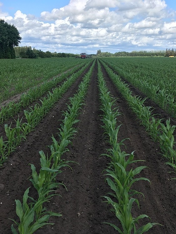 Maskinstation i Sønderjylland med hjælp til landbruget